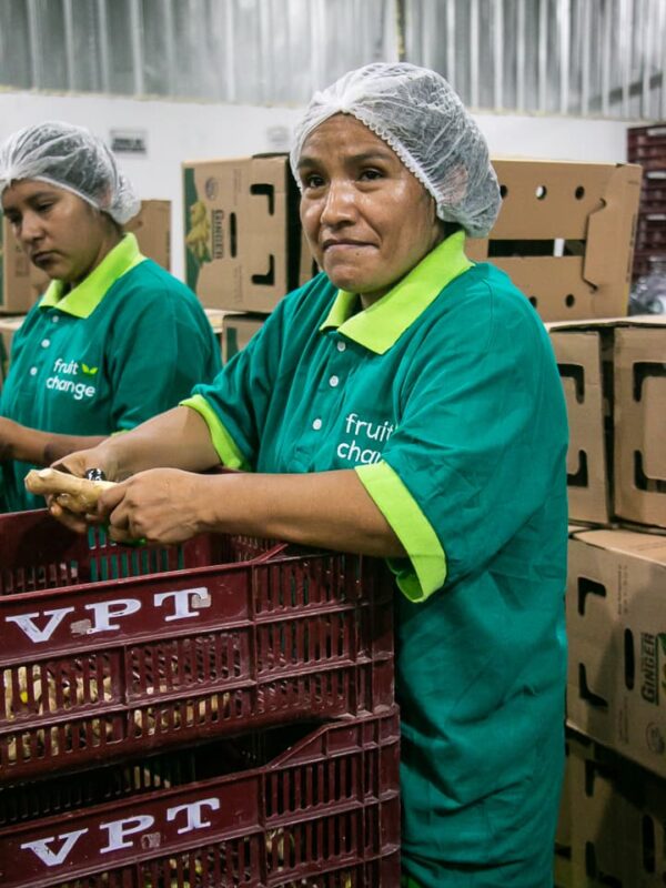 Nosotros - Fruit Exchange (16)