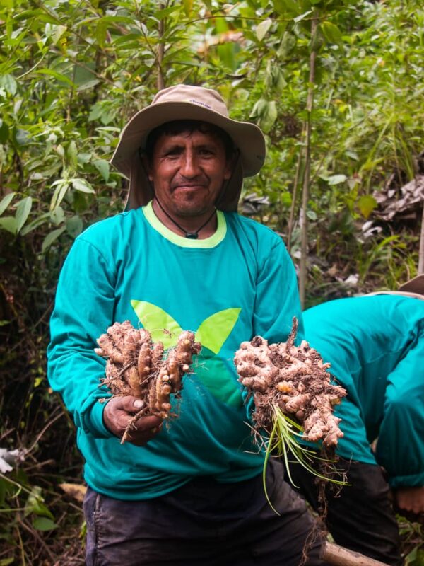 Nosotros - Fruit Exchange (22)