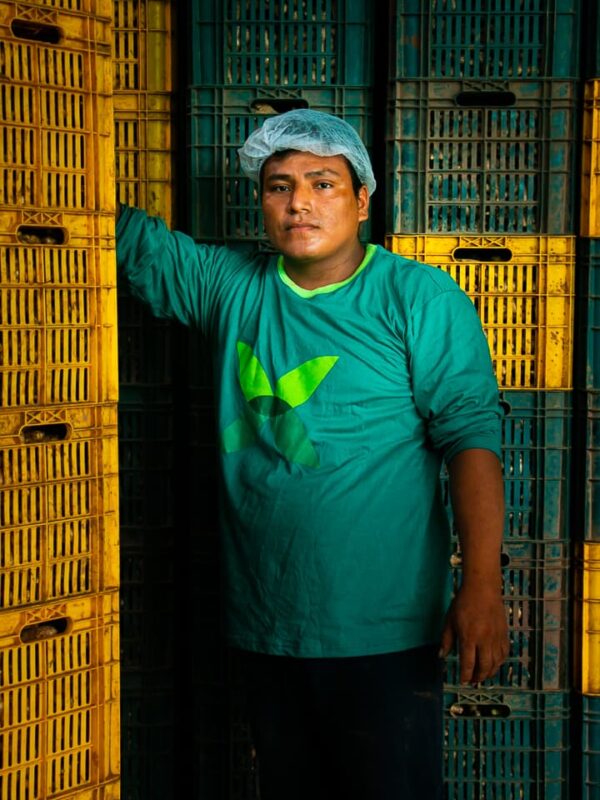 Nosotros - Fruit Exchange (39)