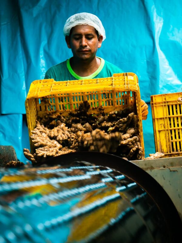 Nosotros - Fruit Exchange (41)