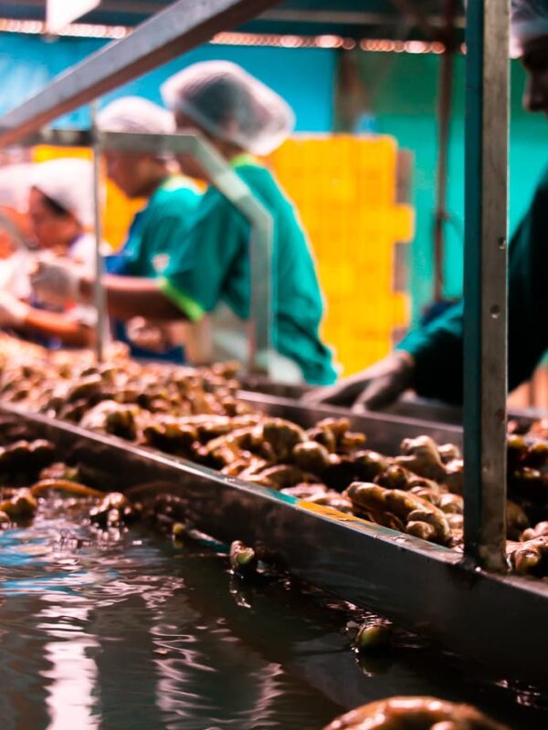 Nosotros - Fruit Exchange (43)