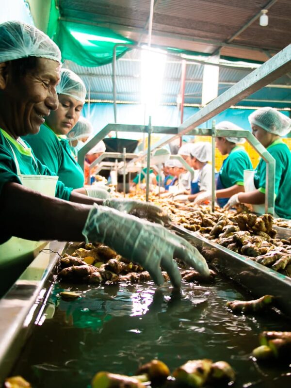 Nosotros - Fruit Exchange (44)