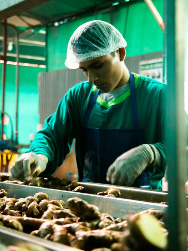 Nosotros - Fruit Exchange (45)