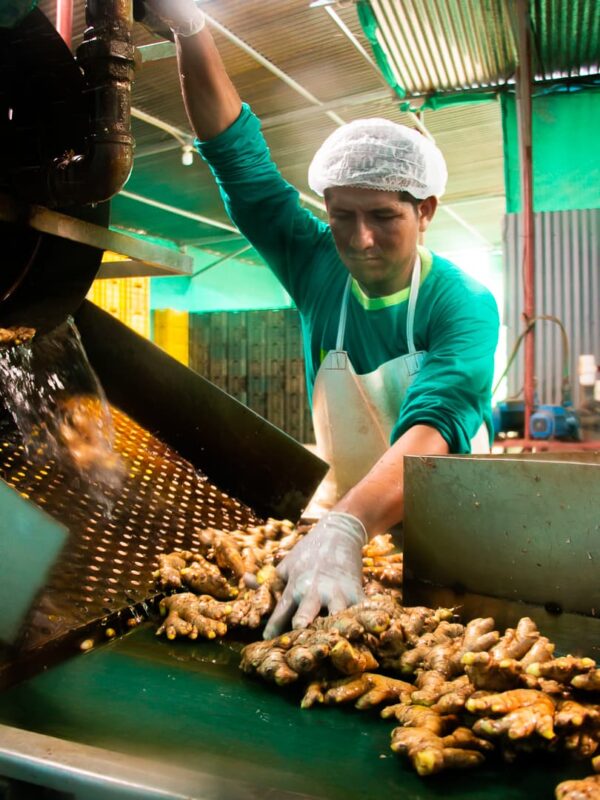 Nosotros - Fruit Exchange (47)