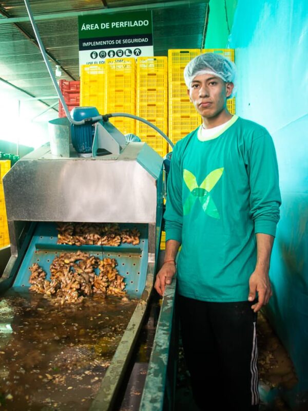 Nosotros - Fruit Exchange (49)