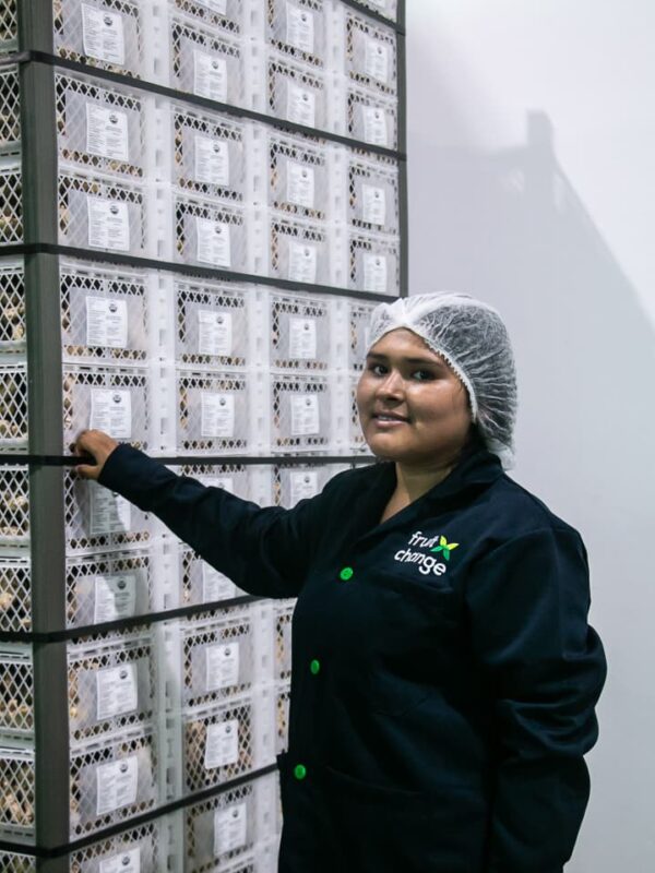 Nosotros - Fruit Exchange (50)