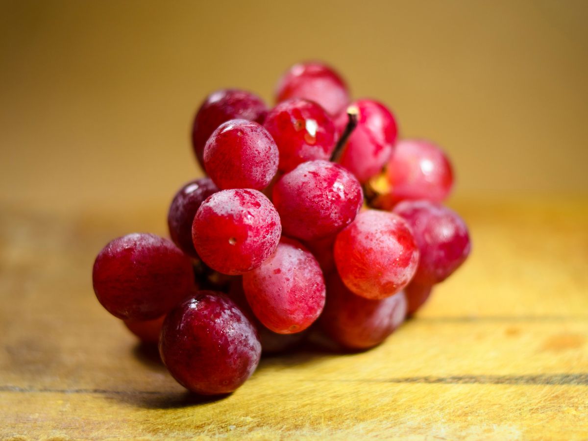 uvas de mesa - red globe
